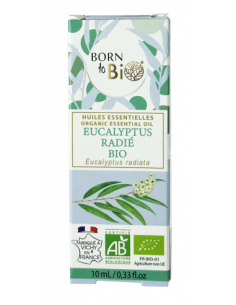 Aceite esencial de eucalipto radiata orgánico Born to Bio 10 ml