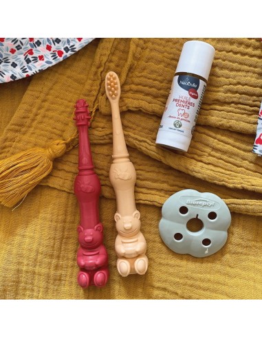Kit calmante para empujar los dientes Bioseptyl