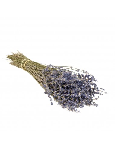Flores secas “Lavanda”