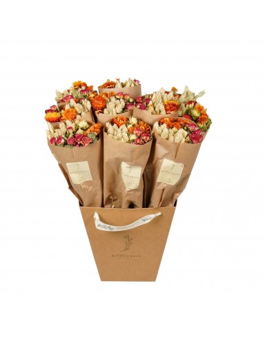 Flores secas “Orange”