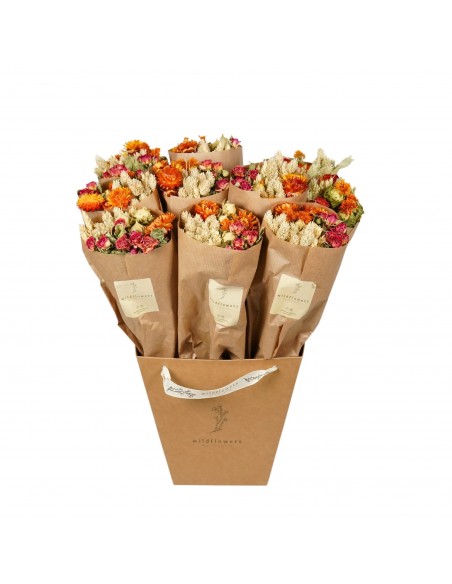 Flores secas “Orange”