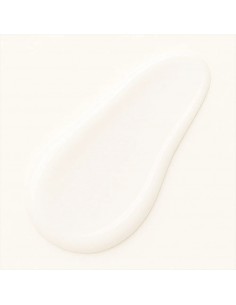 Crema de manos ligera de aloe vera Certificada orgánica 50ml Born to Bio 2