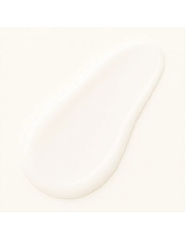 Crema de manos ligera de aloe vera Certificada orgánica 50ml Born to Bio